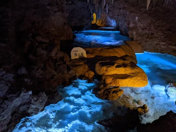 おきなわワールドに投稿された画像（2020/8/20）