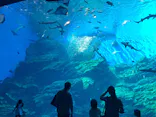 仙台うみの杜水族館に投稿された画像（2020/8/21）