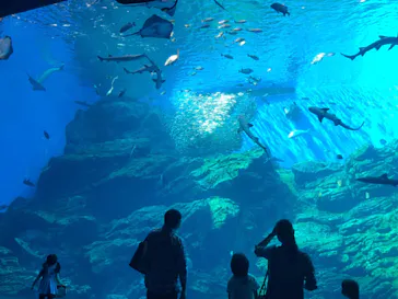 仙台うみの杜水族館に投稿された画像（2020/8/21）