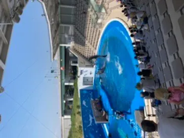 仙台うみの杜水族館に投稿された画像（2020/8/21）