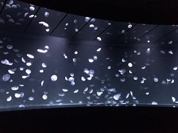 サンシャイン水族館に投稿された画像（2020/8/21）