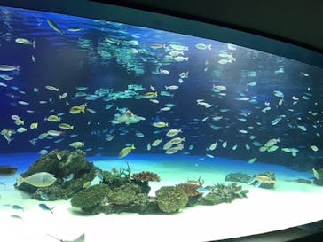 サンシャイン水族館に投稿された画像（2020/8/21）