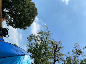 としまえんに投稿された画像（2020/8/21）