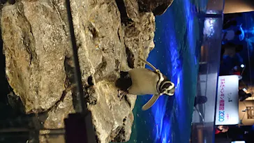 すみだ水族館に投稿された画像（2020/8/21）