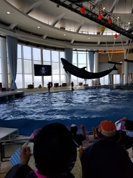 アクアワールド茨城県大洗水族館に投稿された画像（2020/8/21）