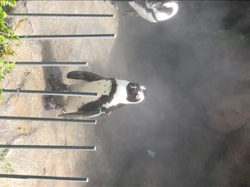 サンシャイン水族館に投稿された画像（2020/8/21）