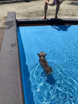 わんダフルネイチャーヴィレッジに投稿された画像（2020/8/21）