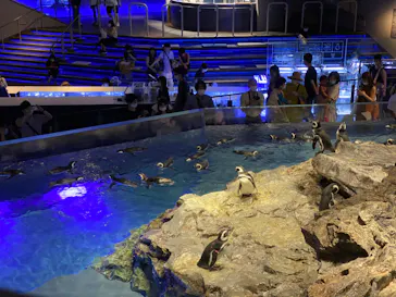 すみだ水族館に投稿された画像（2020/8/21）