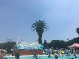 としまえんに投稿された画像（2020/8/21）