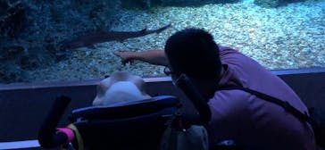 京都水族館に投稿された画像（2020/8/21）