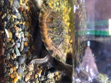 株式会社Gに投稿された画像（2020/8/21）