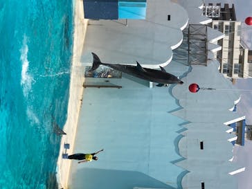 株式会社Gに投稿された画像（2020/8/21）