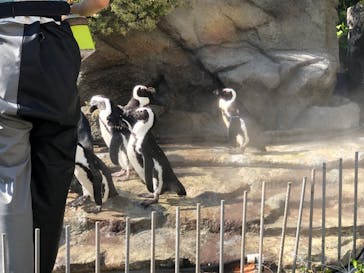 サンシャイン水族館に投稿された画像（2020/8/21）