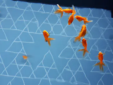 すみだ水族館に投稿された画像（2020/8/21）