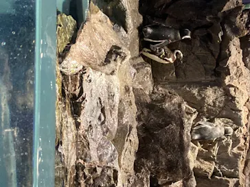 すみだ水族館に投稿された画像（2020/8/21）