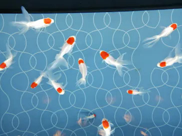 すみだ水族館に投稿された画像（2020/8/21）