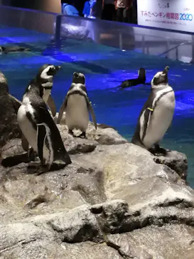 すみだ水族館に投稿された画像（2020/8/21）