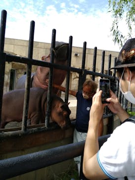 旭川市旭山動物園に投稿された画像（2020/8/21）