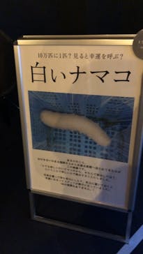 京都水族館に投稿された画像（2020/8/21）