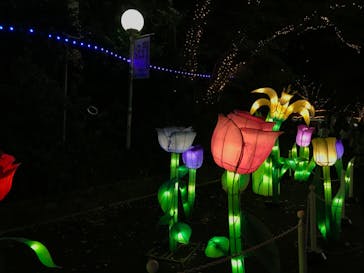 としまえんに投稿された画像（2020/8/21）