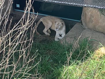 沖縄こどもの国に投稿された画像（2020/8/21）