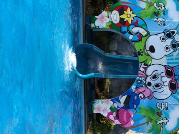 よみうりランド 遊園地に投稿された画像（2020/8/21）