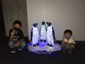 島根県立 しまね海洋館に投稿された画像（2020/8/21）