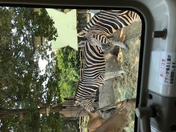 群馬サファリパークに投稿された画像（2020/8/21）