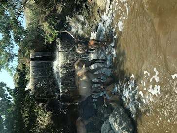 群馬サファリパークに投稿された画像（2020/8/21）