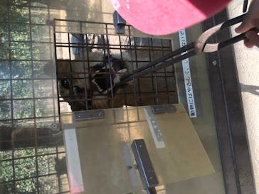 群馬サファリパークに投稿された画像（2020/8/21）