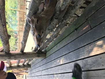 群馬サファリパークに投稿された画像（2020/8/21）