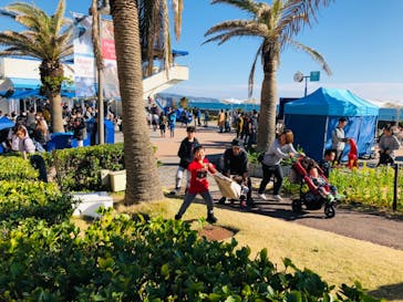 鴨川シーワールドに投稿された画像（2020/8/21）