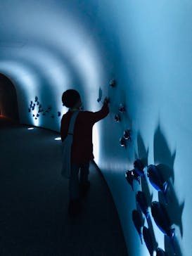 鴨川シーワールドに投稿された画像（2020/8/21）