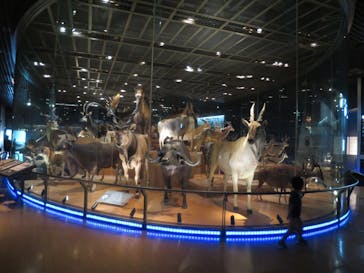 国立科学博物館に投稿された画像（2020/8/21）