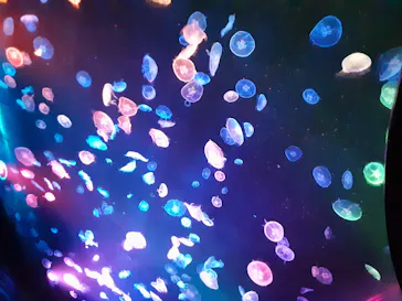 すみだ水族館に投稿された画像（2020/8/21）