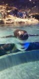 すみだ水族館に投稿された画像（2020/8/21）