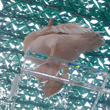 サンシャイン水族館に投稿された画像（2020/8/21）