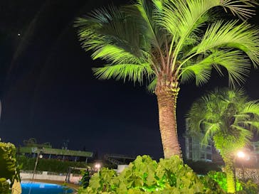 よみうりランド 遊園地に投稿された画像（2020/8/20）