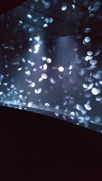 サンシャイン水族館に投稿された画像（2020/8/21）