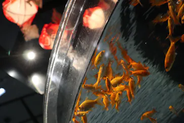 すみだ水族館に投稿された画像（2020/8/22）