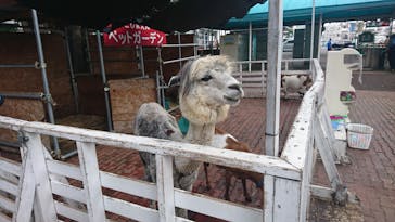 としまえんに投稿された画像（2020/8/22）