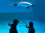 仙台うみの杜水族館に投稿された画像（2020/8/22）
