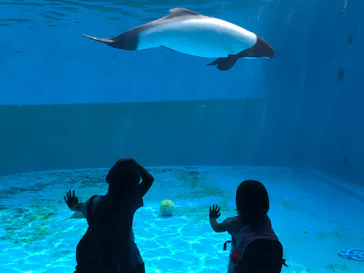 仙台うみの杜水族館に投稿された画像（2020/8/22）