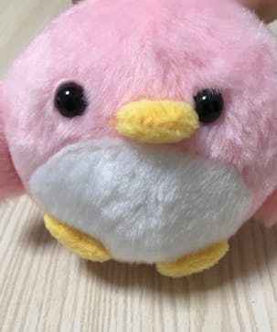 としまえんに投稿された画像（2020/8/21）