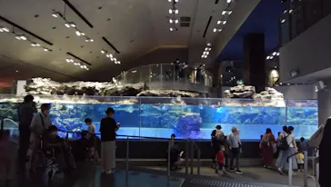 すみだ水族館に投稿された画像（2020/8/22）