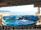 新江ノ島水族館に投稿された画像（2020/8/22）