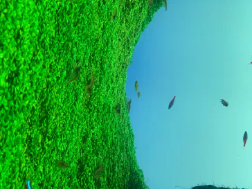 すみだ水族館に投稿された画像（2020/8/22）