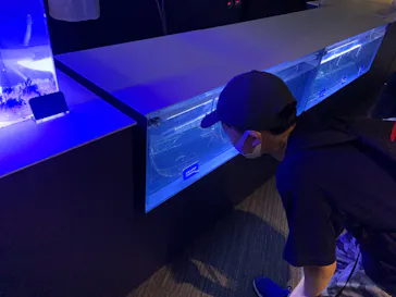 すみだ水族館に投稿された画像（2020/8/22）