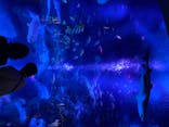 すみだ水族館に投稿された画像（2020/8/22）