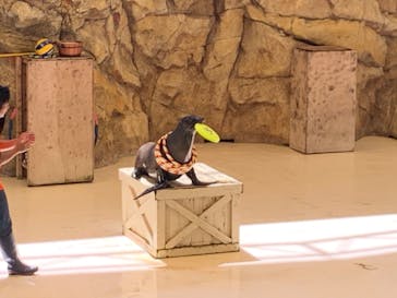 鳥羽水族館に投稿された画像（2020/8/22）